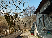 07 Al Rifugio del grande faggio